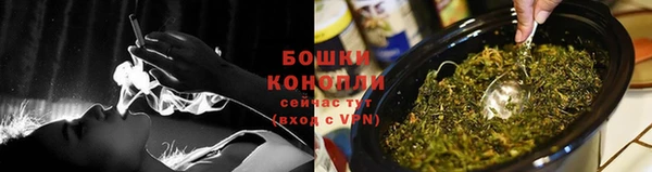 метадон Гусев