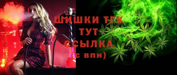 молекула духа Дмитриев